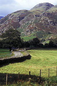 ENG: The Northwest Region, Cumbria, Lake District National Park, Central Lakes Area, Great Langdale, A narrow lane, flanked by dry laid stone walls, heads towards the cliff-sided peaks of Langdale Pikes [Ask for #262.434.]