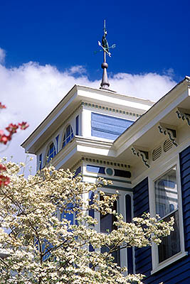 NC: New Hanover County, Cape Fear River Area, Wilmington, Wilmington Historic District, Hansen House. Weathervane on roof; dogwoods [Ask for #224.151.]