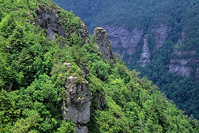 NC: Burke County, Pisgah National Forest, Linville Gorge Wilderness, The Chimneys, Summer view over Linville Gorge and The Chimneys, from cliffs lining the east rim of the gorge; mountain laurel in bloom. [Ask for #237.414.]