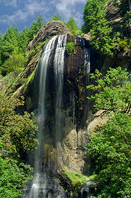 OR: South Coast Region, Coos County, Coos Bay Area, Coos River Mountains, Gold and Silver Falls State Park, Silver Falls [Ask for #271.134.]