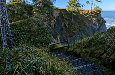 OR: Coos County, Coos Bay Area, Cape Arago Parks, Shore Acres Cliffs, Path leads down steps along a cliff-top forest [Ask for #276.356.]